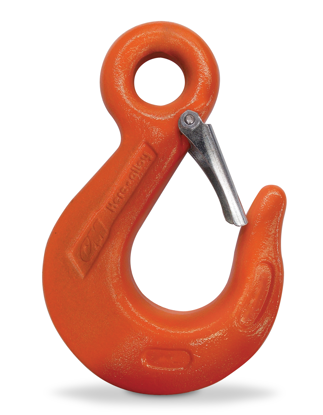 CM Eye Sling Hook with Latch