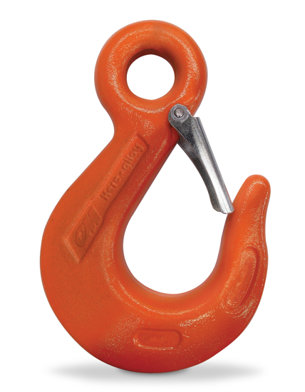 CM Eye Sling Hook with Latch