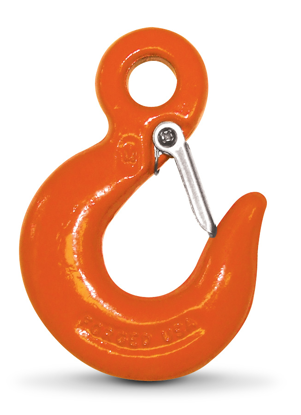 CM Eye Slip Hook with Latch